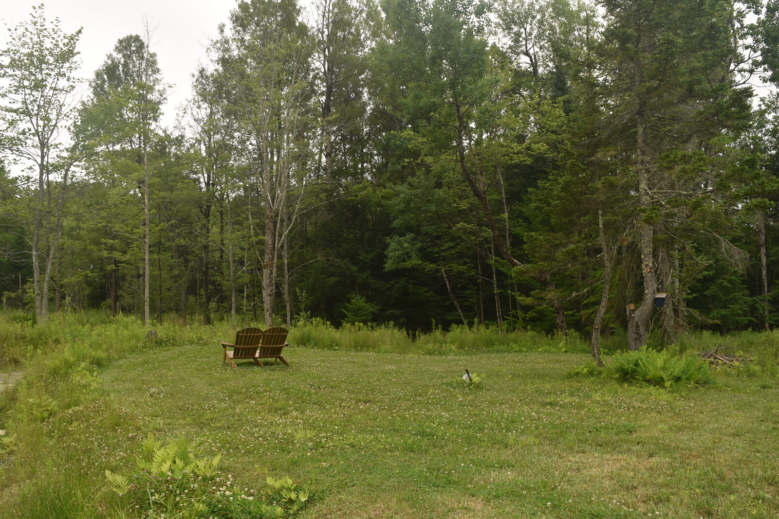 Adirondack loveseat bench in the meadow