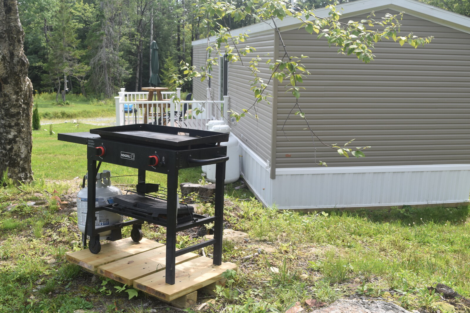 Outdoor propane griddle on the property